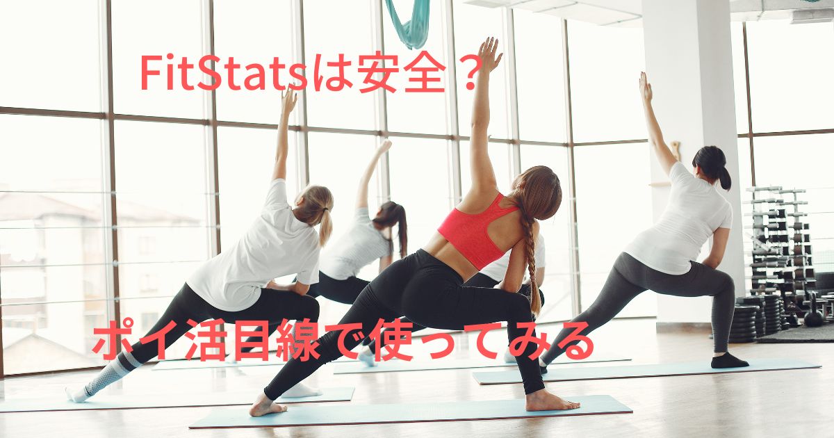 Fitstatsイメージ画像